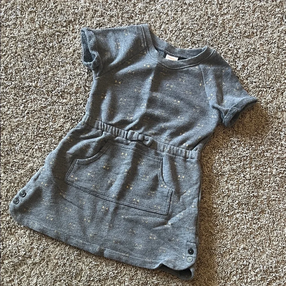 Gymboree Little Girl Gray Sweatshirt Dress Size 4t